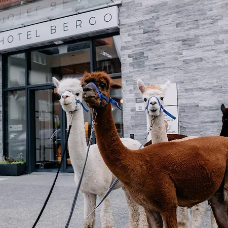 Bergo & 5* Sklářská Poruba