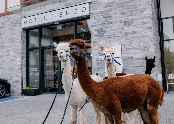 Bergo & 5* Szklarska Poreba